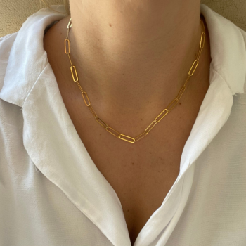 Golden Silver Chocker Necklace with Rectangular Links