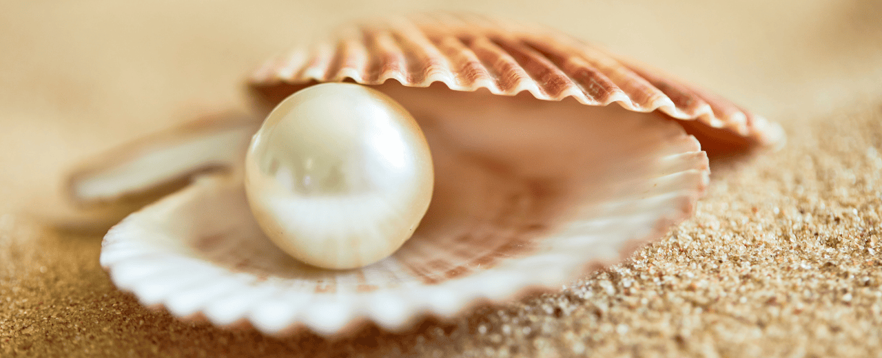 Joias Noites de Verão